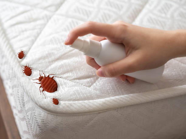 Best Bed Bug Extermination  in Franklin Park, NJ